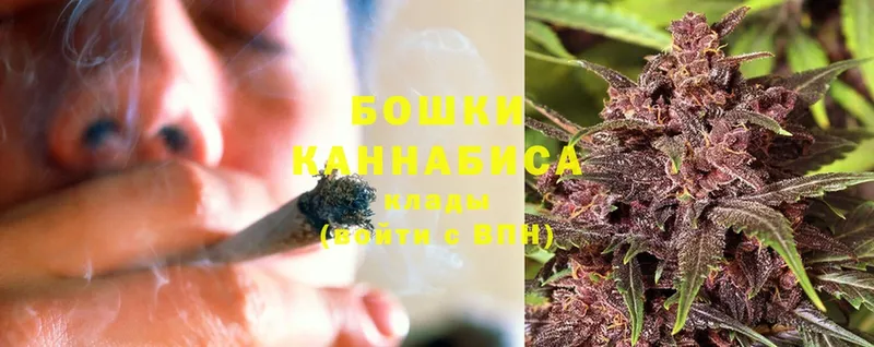 Бошки Шишки OG Kush  сайты даркнета как зайти  Уварово 